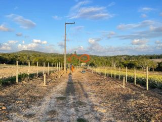 Rancho Ouro Verde à venda no Povoado Cardoso em Itaporanga d’Ajuda – SE