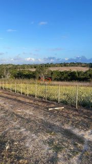 Rancho Ouro Verde à venda no Povoado Cardoso em Itaporanga d’Ajuda – SE