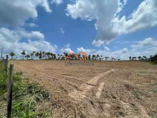 Rancho Ouro Verde à venda no Povoado Cardoso em Itaporanga d’Ajuda – SE