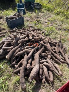 Rancho Ouro Verde à venda no Povoado Cardoso em Itaporanga d’Ajuda – SE
