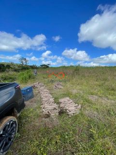 Rancho Ouro Verde à venda no Povoado Cardoso em Itaporanga d’Ajuda – SE