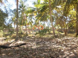 2 Lotes à Venda no Povoado Mosqueiro em Aracaju/SE por R$ 160.000,00 reais CADA
