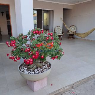 Linda Casa próxima ao Shopping Sul - Lado Sombra - 435m²