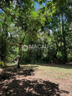 Chácara à Venda no Bairro da Bocaina – Cachoeira Paulista
