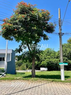 Terrenos à venda no Jardim Nova Cachoeira – Oportunidade única!