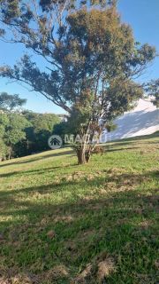 Lote / Terreno de Condomínio Para Vender no bairro Jd. Nova Cachoeira em Cachoeira Paulista