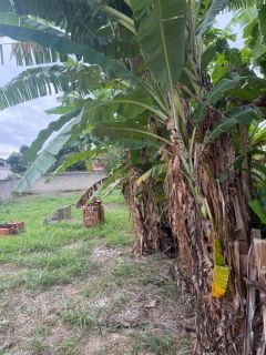 Terreno à venda no Parque Primavera – Cachoeira Paulista/SP