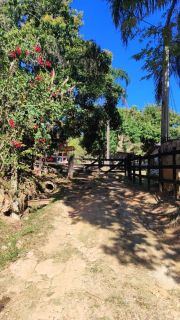 SÍTIO À VENDA – RIO DAS PEDRAS | CACHOEIRA PAULISTA/SP
