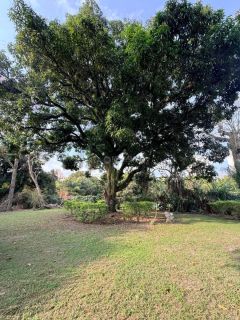Chácara à Venda na área central de Cachoeira Paulista