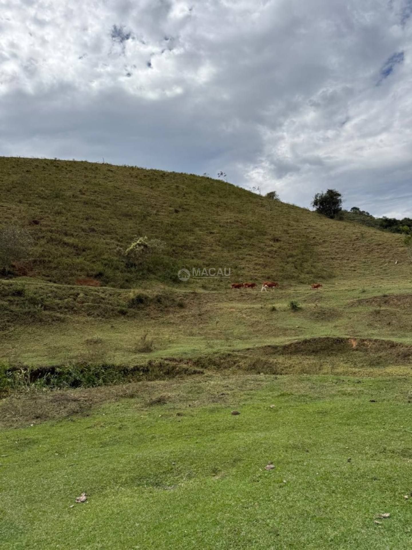 ÁREA RURAL À VENDA – SILVEIRAS/SP