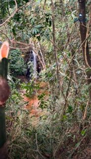 ÁREA RURAL À VENDA – SILVEIRAS/SP