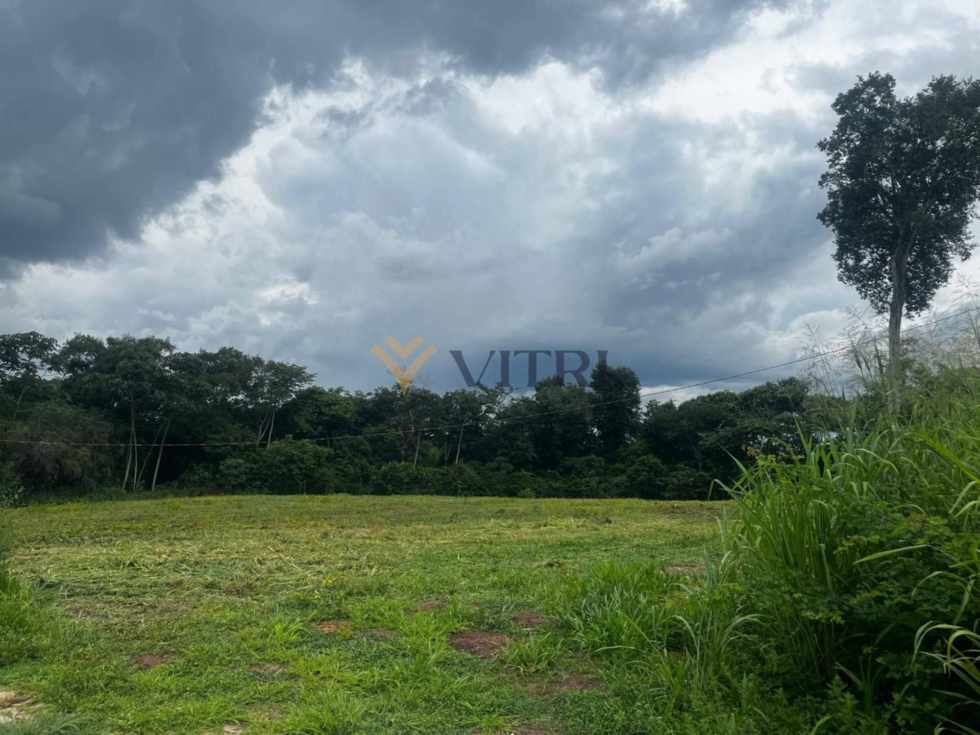 Lote / Terreno no Condomínio Quinta Dos Palmares