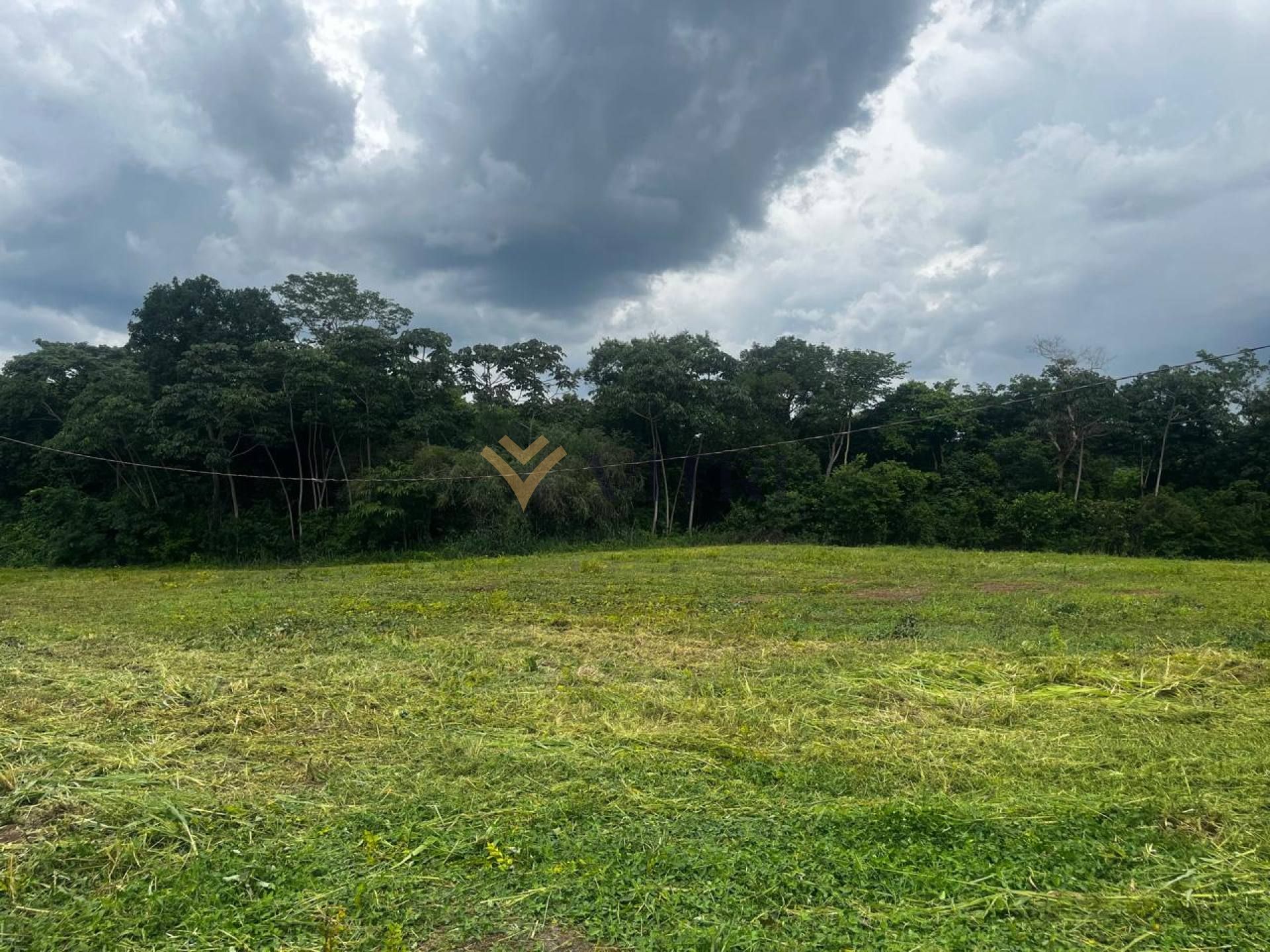 Lote / Terreno no Condomínio Quinta Dos Palmares