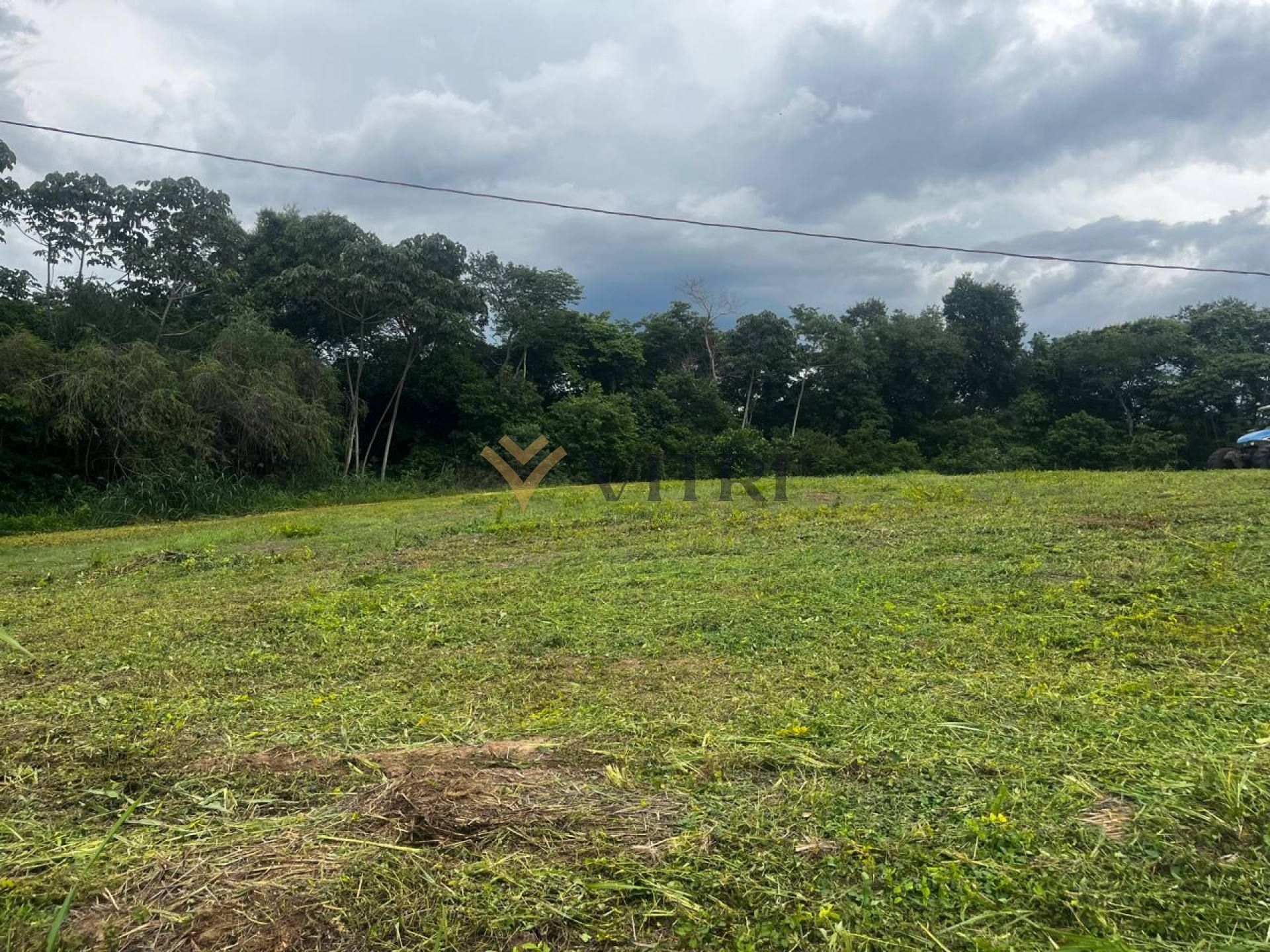 Lote / Terreno no Condomínio Quinta Dos Palmares