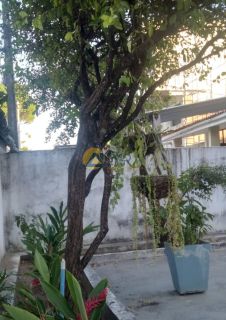 Casa Para Vender com 4 quartos 1 suítes no bairro Piedade em Jaboatão Dos Guararapes