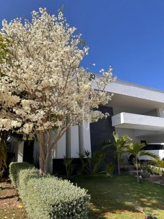 Casa Térrea - Condomínio Terras Alphaville