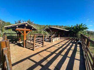 LOTE - FAZENDA REAL DOIS