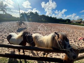 LOTE - FAZENDA REAL DOIS