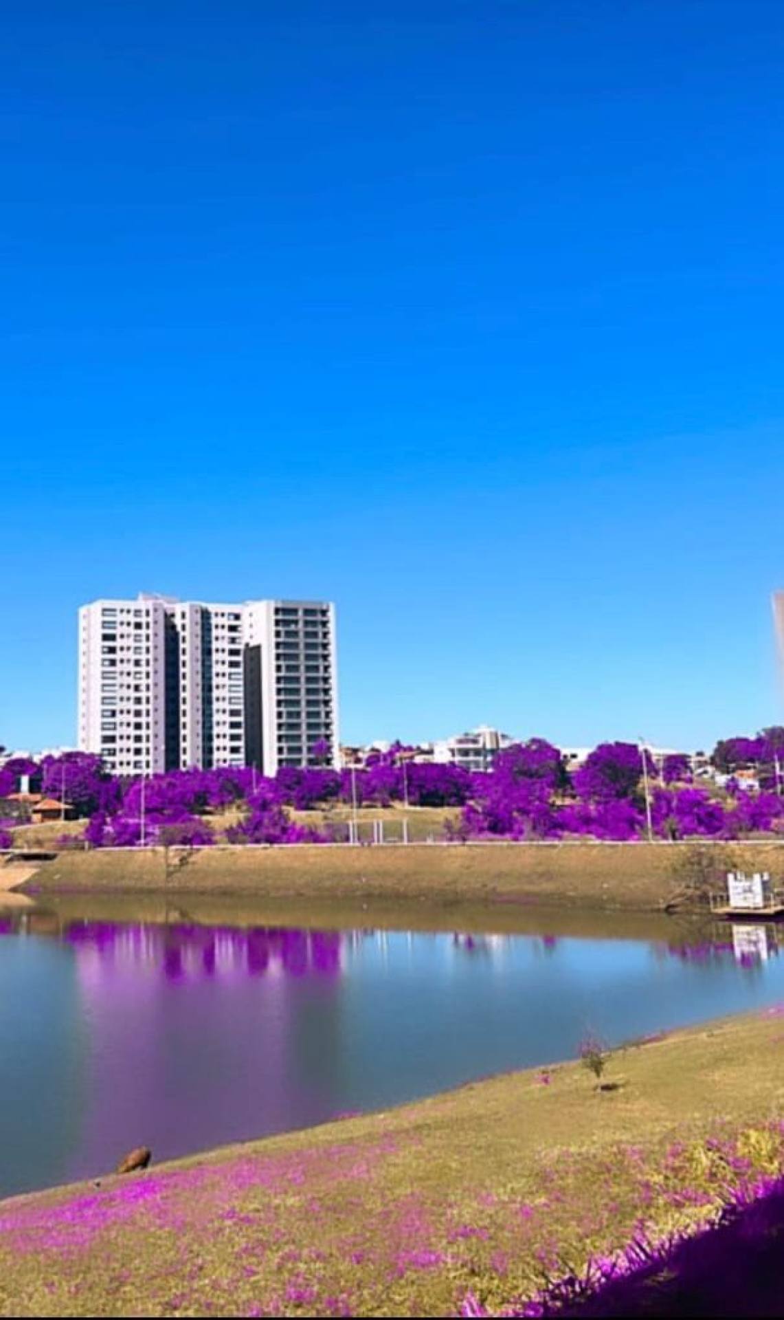APARTAMENTO NUNCA HABITADO - Jardim do Lago - Meridian Residence