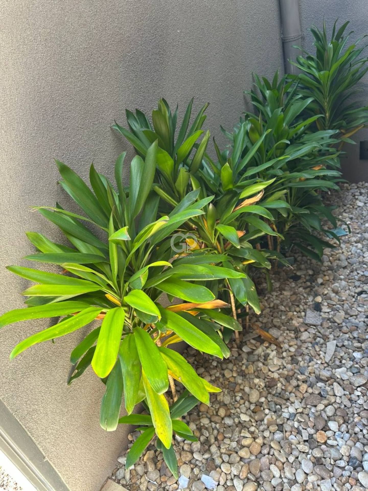 Casa Para Vender com 4 quartos 4 suítes no bairro Laranjeiras
