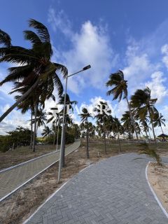 VILLAREDO ARUANA 