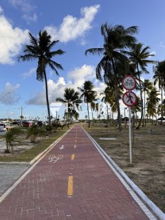 VILLAREDO ARUANA 