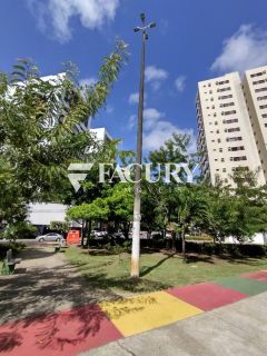 Apartamento com 3/4 sendo 1 suíte na Alameda das Árvores