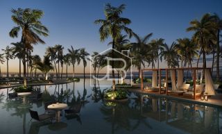 Ocean Garden 