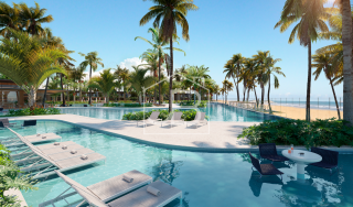 Ocean Garden 
