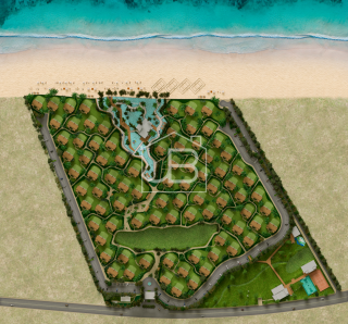 Ocean Garden 