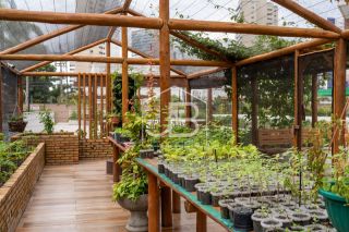Green Garden