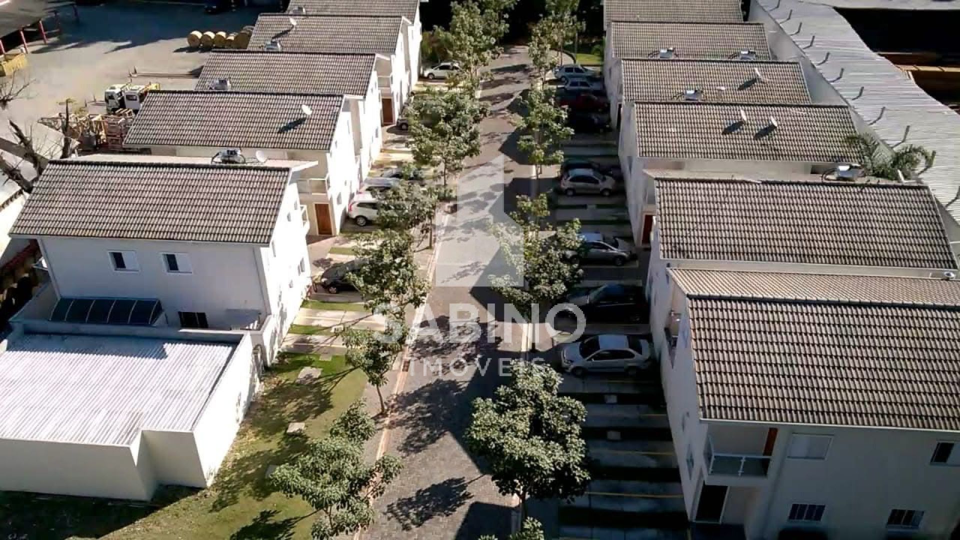 CANTO DOS IPÊS