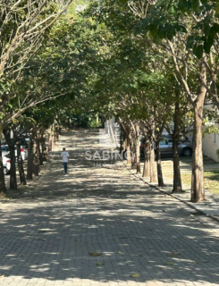 CANTO DOS IPÊS