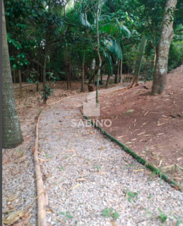 CANTO DOS IPÊS