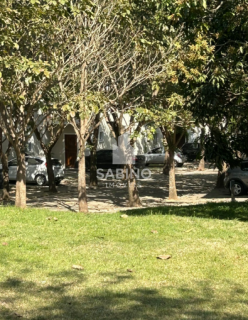 CANTO DOS IPÊS