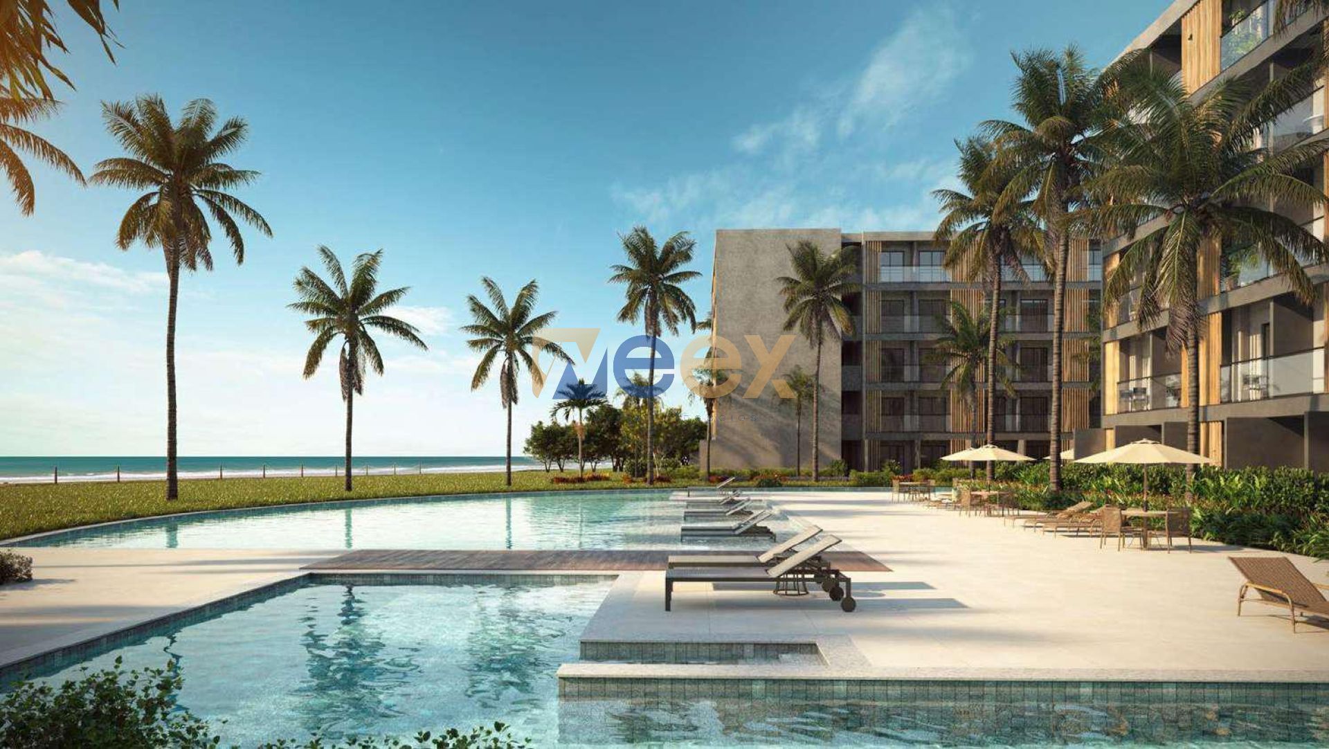 Solina Praia dos Carneiros 