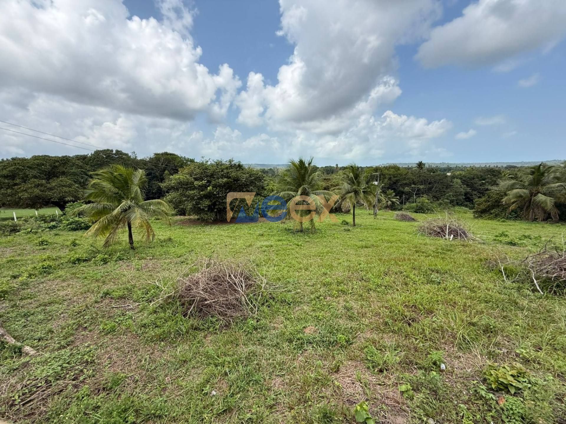 Terreno de 46.200 m² de Bairro Para Vender no bairro Sítio dos Marcos em Igarassu