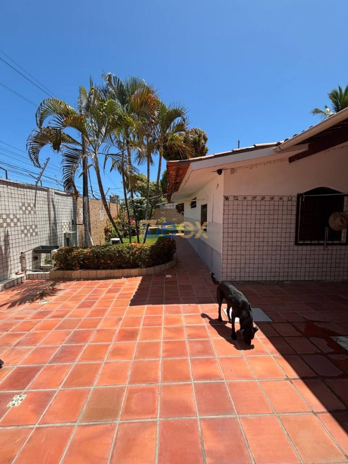 OPORTUNIDADE IMPERDÍVEL EM PAU AMARELO – SUA CASA PERFEITA A 700m DO MAR!