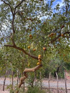TERRENO PARA VENDER NO CONDOMÍNIO COLINAS
