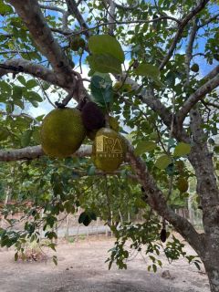 TERRENO PARA VENDER NO CONDOMÍNIO COLINAS