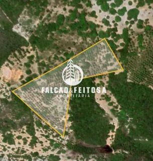 Fazenda à venda em Porto de Sauípe