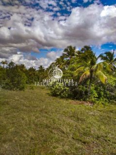 Fazenda à venda em Porto de Sauípe