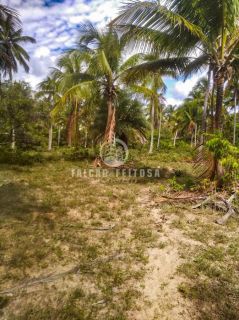Fazenda à venda em Porto de Sauípe