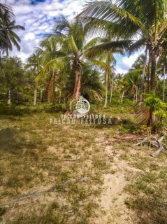 Fazenda à venda em Porto de Sauípe