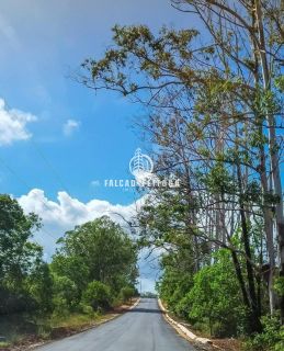 Fazenda à venda em Porto de Sauípe