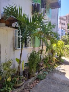 Apartamento 3 /4 e 1 suíte Paralela