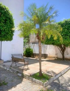 Apartamento Térreo 2 quartos com 1 suíte em itapoan