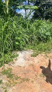 Terreno Saboeiro em Salvador