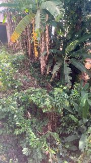Terreno Para Vender  Saboeiro