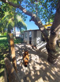 CASA TÉRREA EM BUSCA VIDA